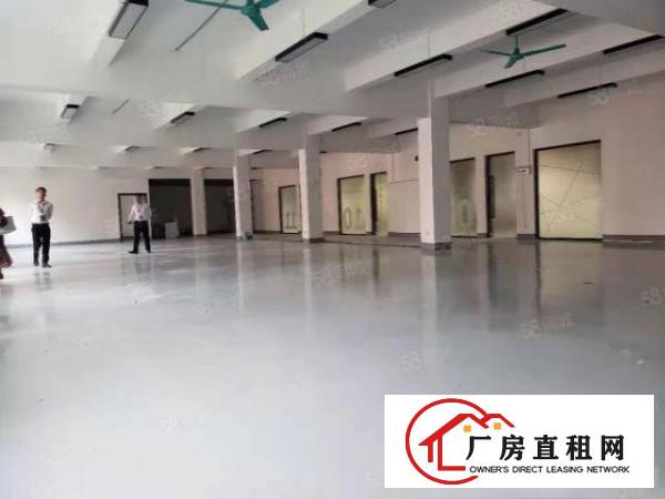  塘厦清湖头独院标准1楼520平方！现成主线!可装峰谷表
