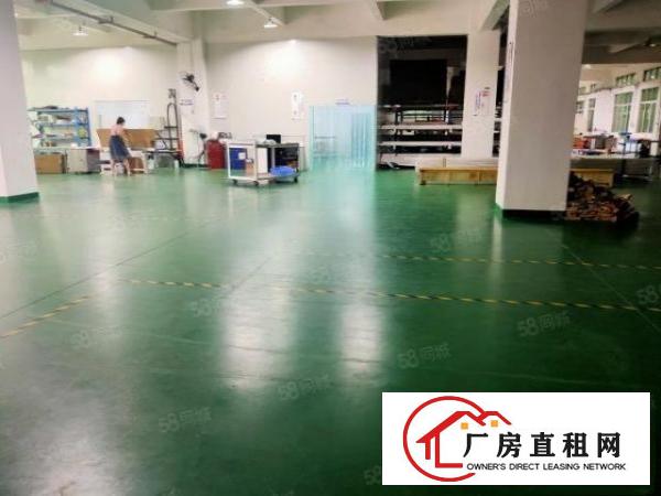  塘厦大坪高速出口新出原房东标准厂房一楼1380平有装修