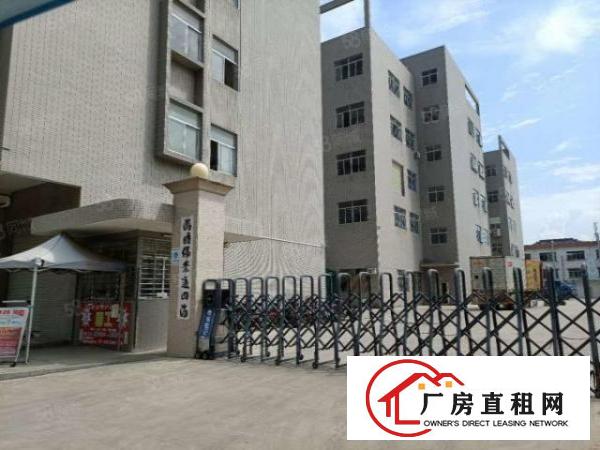  塘厦林村广场旁标准2楼700平方！全层地板砖精装修实拍视频