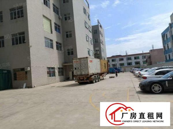  塘厦林村广场旁标准2楼700平方！全层地板砖精装修实拍视频