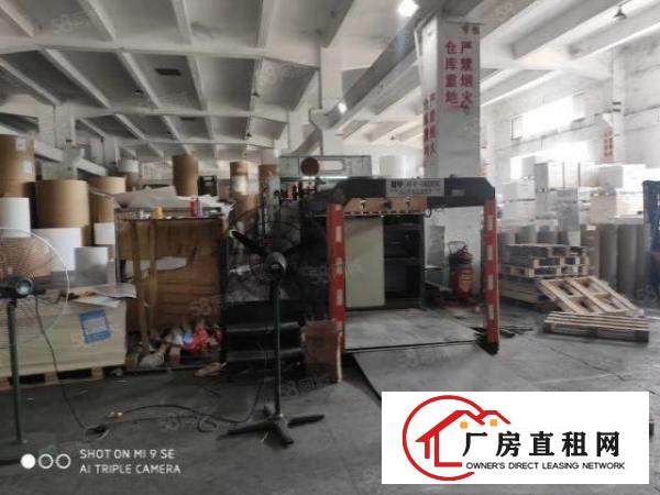  塘厦新出8米高单一层厂房2800平方，带牛角，水电齐全