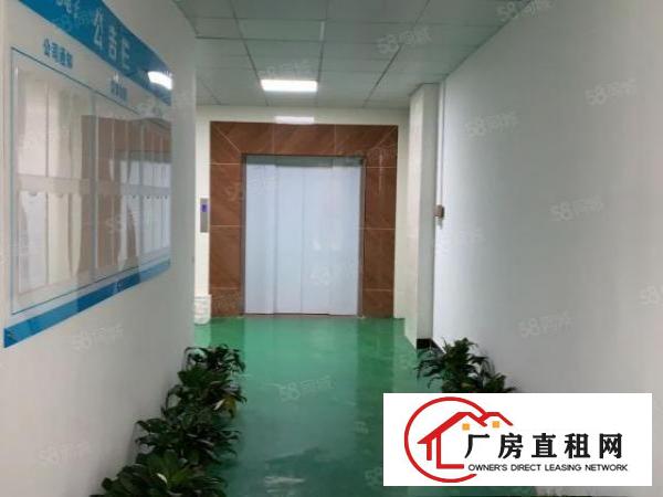  塘厦振兴围独院楼上898平方！蹭亮地坪漆隔好办公室精装修