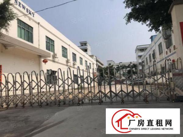  塘厦沙湖独栋小两层2400平方！水电齐全！地坪漆精装修