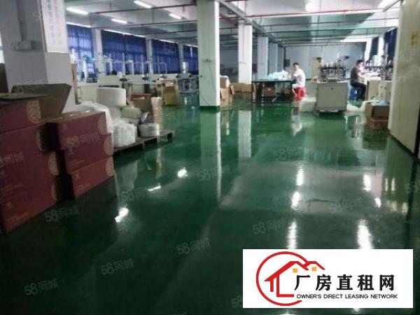  塘厦沙湖独栋小两层2400平方！水电齐全！地坪漆精装修