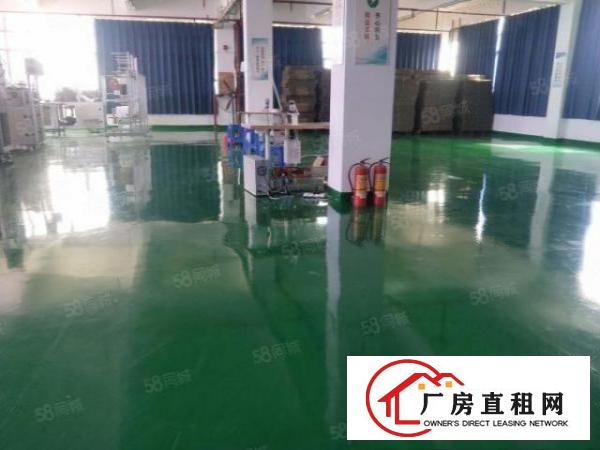  塘厦沙湖独栋小两层2400平方！水电齐全！地坪漆精装修