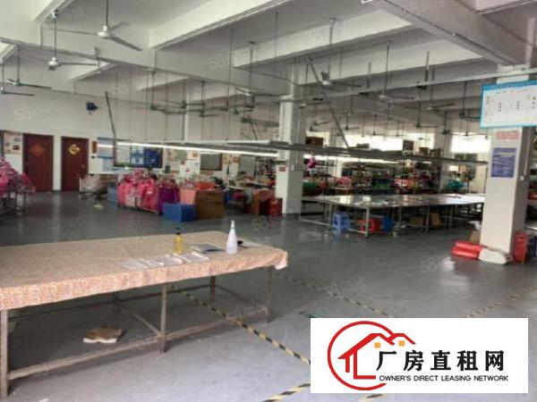 塘厦振兴围独院楼上新空500平服装加工厂房出租，有办公室装修