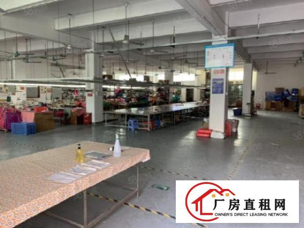  塘厦振兴围独院楼上新空500平服装加工厂房出租，有办公室装修