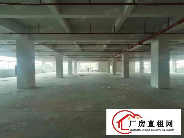  塘厦大坪原房东独院零公摊红本厂房7800平招租可办环评