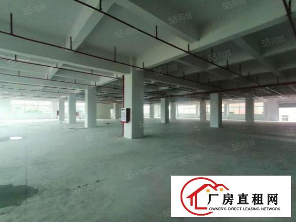  塘厦大坪原房东独院零公摊红本厂房7800平招租可办环评