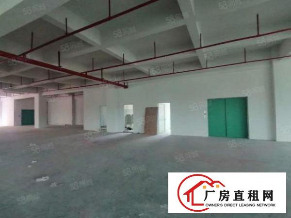  塘厦大坪原房东独院零公摊红本厂房7800平招租可办环评