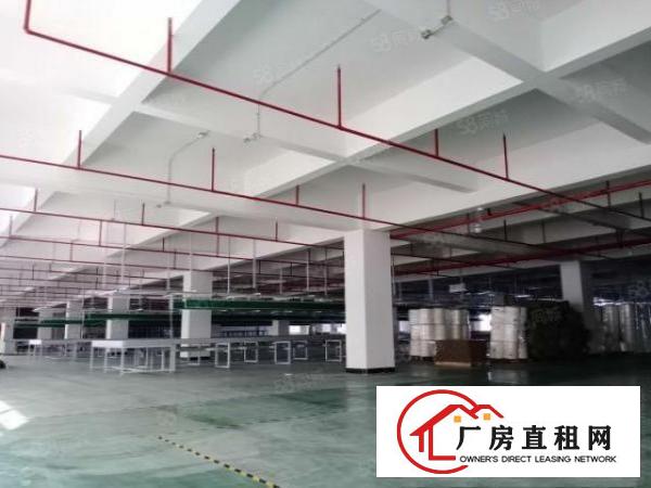  塘厦大坪原房东独院零公摊红本厂房7800平招租可办环评