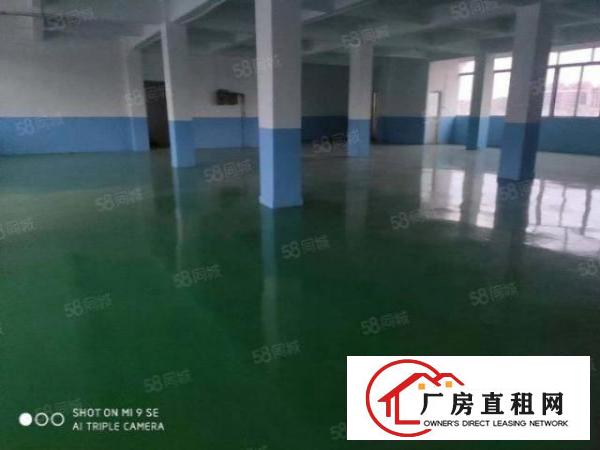  塘厦振兴围小型加工组装淘宝电商贸易厂房出租500平