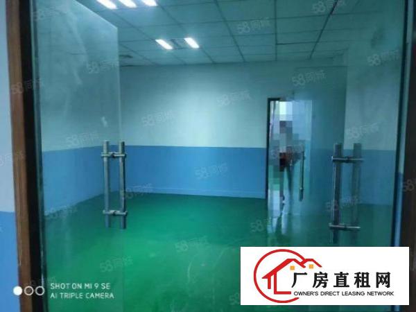  塘厦振兴围小型加工组装淘宝电商贸易厂房出租500平