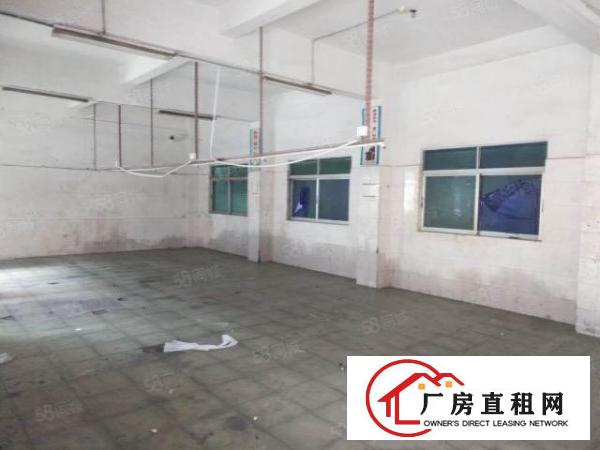  出租|塘厦田心标准厂房500平原房东，