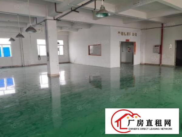  塘厦莆心湖独院标准2楼470平方！消防合格！可开发票