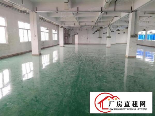  塘厦莆心湖独院标准2楼470平方！消防合格！可开发票