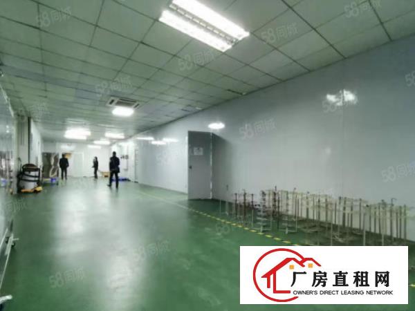  笋盘莆心湖独院三楼800平方厂房出租，临近田心，四村等地