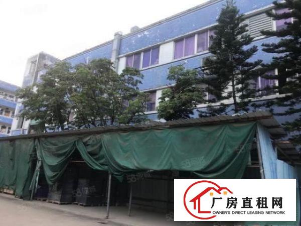  塘厦沙湖原房东厂房仓库冷库出租！有环评带有全新喷粉生产线。