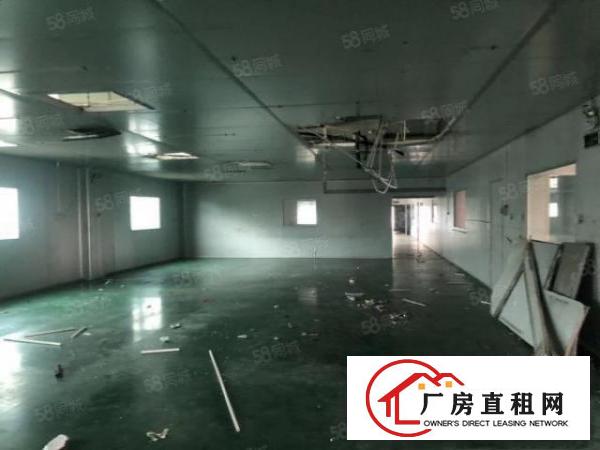  塘厦平山独院厂房仓库出租！4200平方带地坪漆有车位招租。