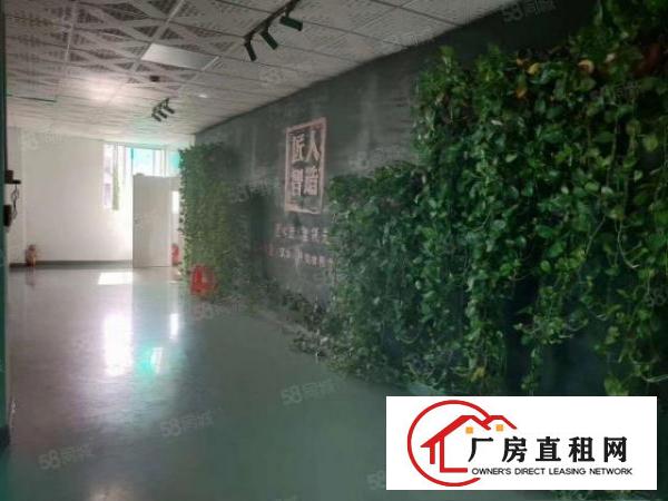  塘厦四村高科技工业区新出二楼1200平方