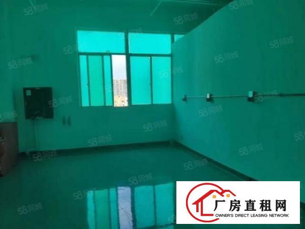  塘厦四村高科技工业区新出二楼1200平方