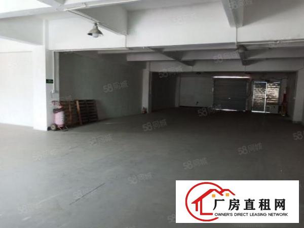  塘厦工业区550厂房仓库冷库出租！可分租转租空地大有车位招租