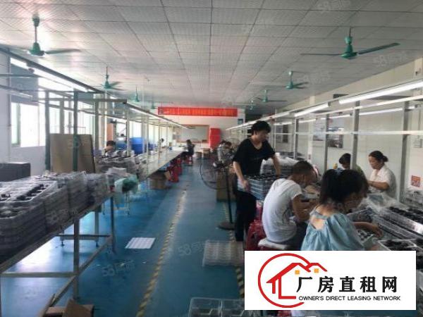  塘厦石鼓新出标准厂房三楼1800平方，现成精装修可拎包入住
