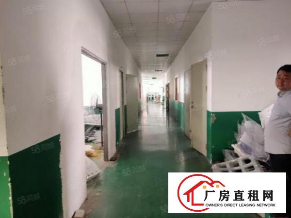  塘厦石鼓新出标准厂房楼上1080平方，现城精装修价格便宜。