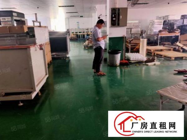  塘厦石鼓新出标准厂房楼上1080平方，现城精装修价格便宜。
