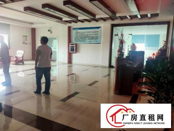  塘厦石鼓新出标准厂房楼上1080平方，现城精装修价格便宜。