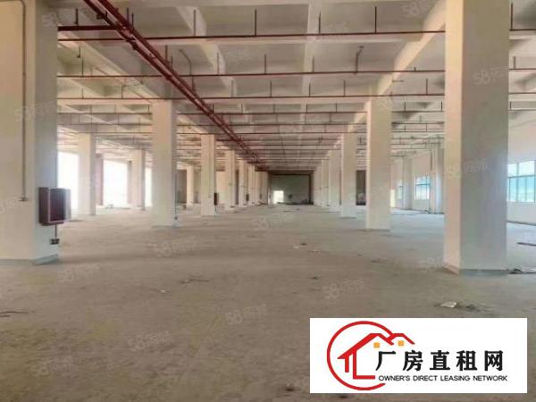  带卸货平台，塘厦石马国有证厂房出租一楼5080平（可分租）