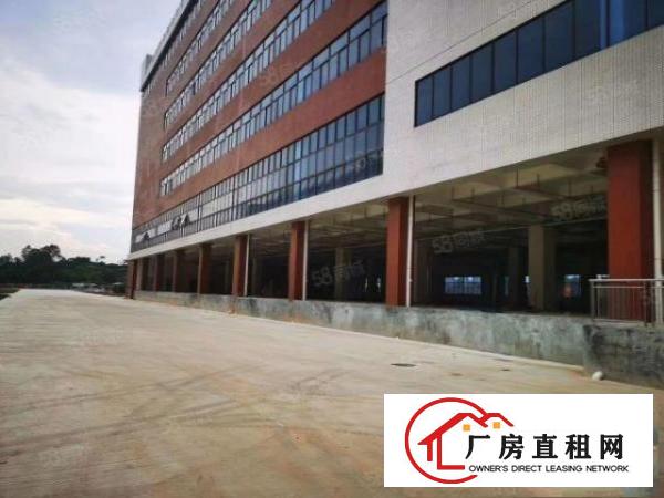  带卸货平台，塘厦石马国有证厂房出租一楼5080平（可分租）