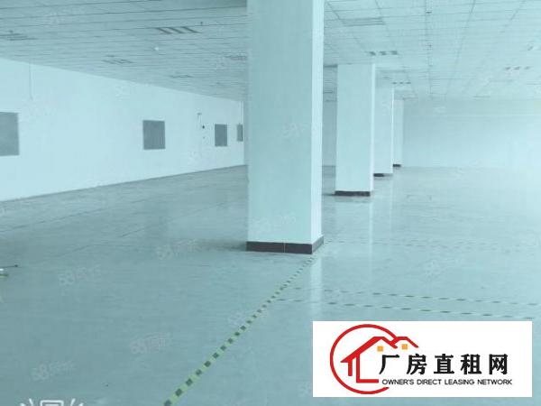 拎包入住五吨电梯塘厦镇科苑城新出楼上1100平米厂房出租