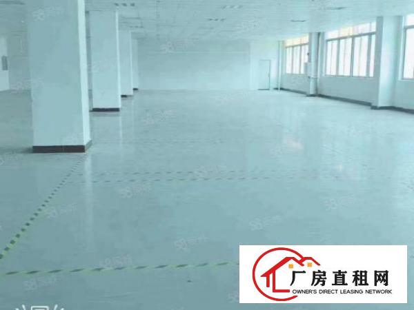  拎包入住五吨电梯塘厦镇科苑城新出楼上1100平米厂房出租