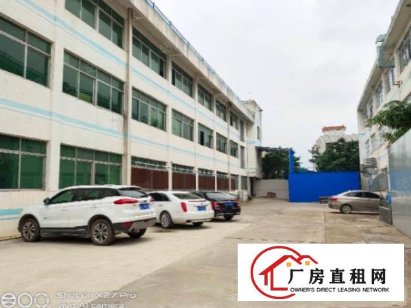  塘厦林村新出楼上1250平（无公摊，带现成装修，拎包入驻）