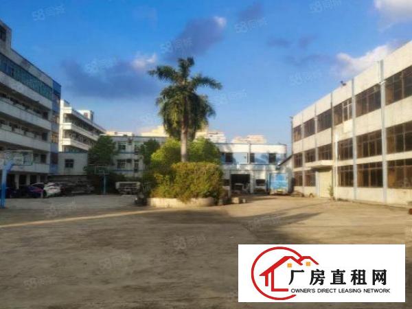  房东出租独院厂房二楼地坪漆车间1800平，报价20元