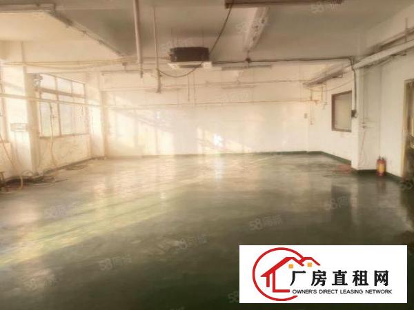  房东出租独院厂房二楼地坪漆车间1800平，报价20元