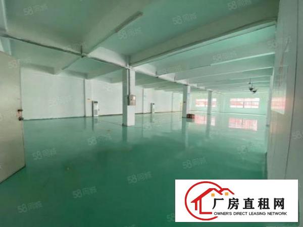  塘厦石鼓工业园楼上1118平米带地坪漆办公室水电线路