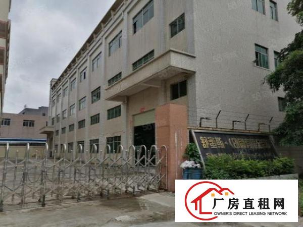  （带装修环评空地大）清溪三中原房东2楼厂房1600平，刚空出