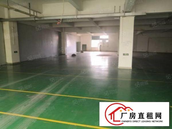  塘厦凤凰岗标准3楼800平方！实拍视频图片！电子车间免装修