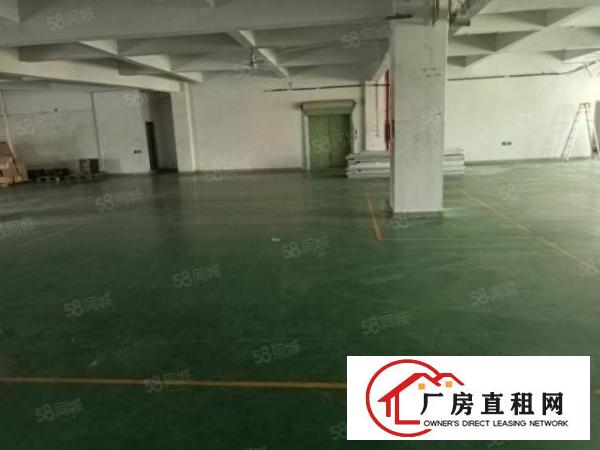  塘厦凤凰岗标准3楼800平方！实拍视频图片！电子车间免装修