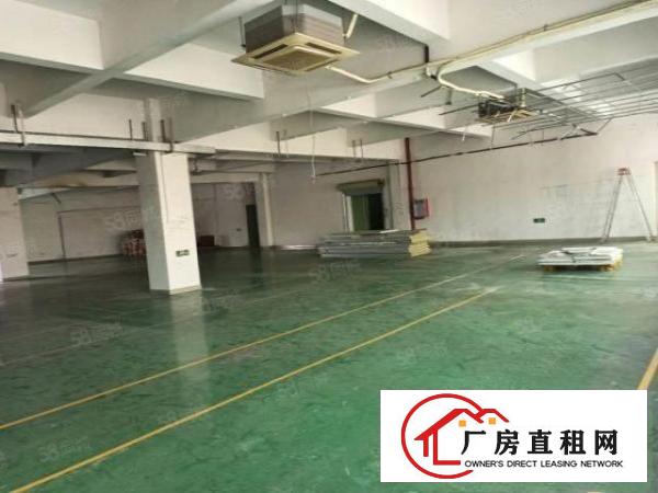  塘厦凤凰岗标准3楼800平方！实拍视频图片！电子车间免装修
