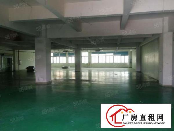  塘厦凤凰岗标准3楼800平方！实拍视频图片！电子车间免装修
