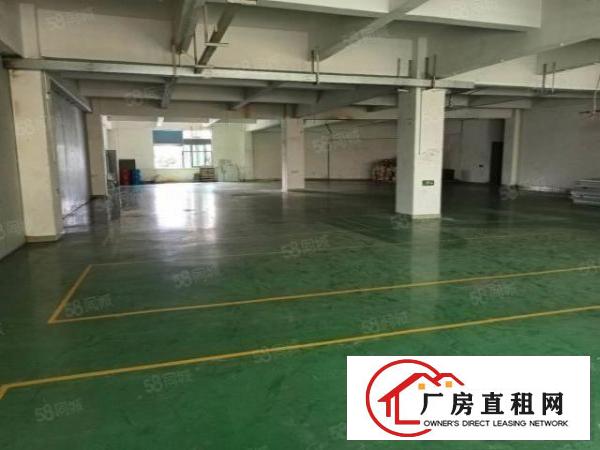  塘厦凤凰岗标准3楼800平方！实拍视频图片！电子车间免装修