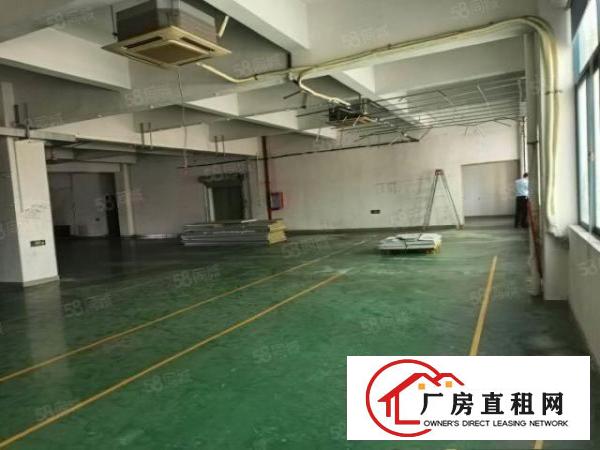  塘厦凤凰岗标准3楼800平方！实拍视频图片！电子车间免装修