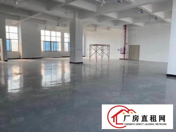  塘厦诸佛岭独院3楼400平方！近华正学校！现成装修
