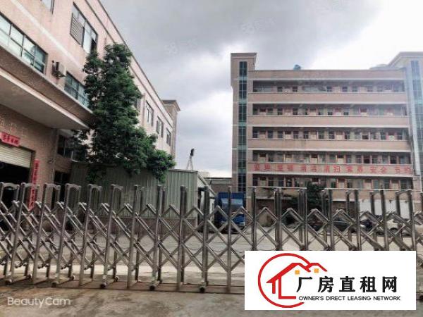 塘厦诸佛岭独院3楼400平方！近华正学校！现成装修