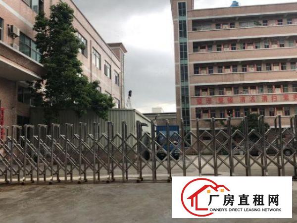  塘厦诸佛岭独院3楼400平方！近华正学校！现成装修