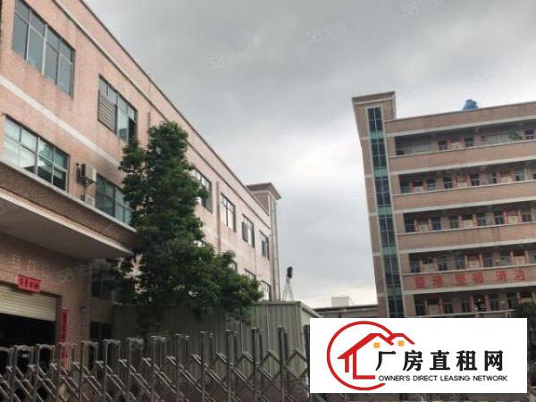  塘厦诸佛岭独院3楼400平方！近华正学校！现成装修
