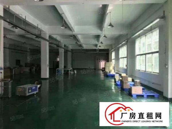  塘厦石马新空标准一楼860方带装修厂房，有地坪漆，车间形象好